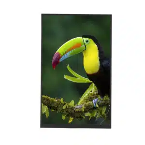 10.1palcový MIPI LCD displej s rozlišením 800x1280