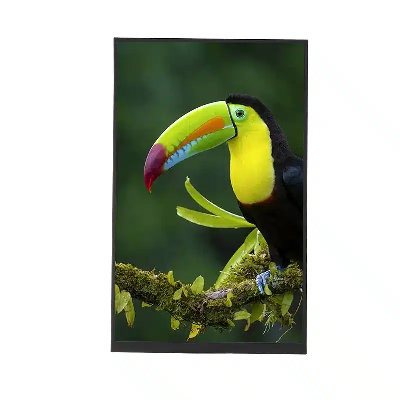 10.1 Zoll MIPI LCD-Display 800x1280