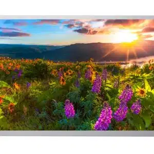 1024x768 LCD-Bildschirm 15 Zoll